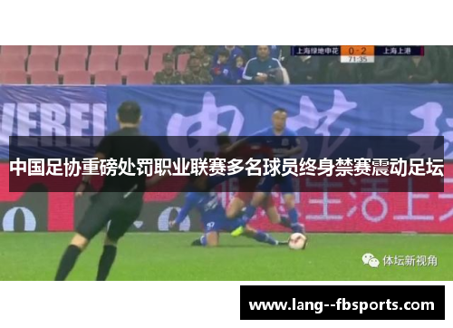 中国足协重磅处罚职业联赛多名球员终身禁赛震动足坛