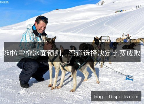 狗拉雪橇冰面预判，弯道选择决定比赛成败